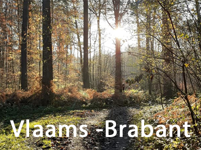 Top 5 wandelroutes Vlaams-Brabant