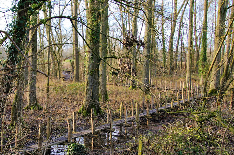 Wandelroutes in Brabantse Kouters