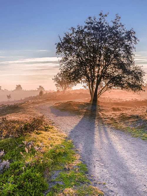 Wandelen in Limburg