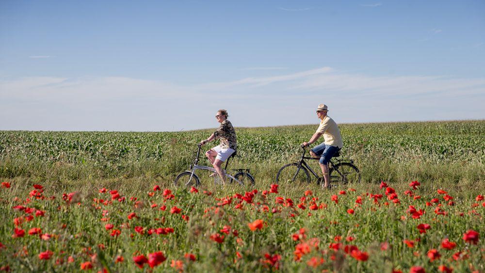 Helleketelbos