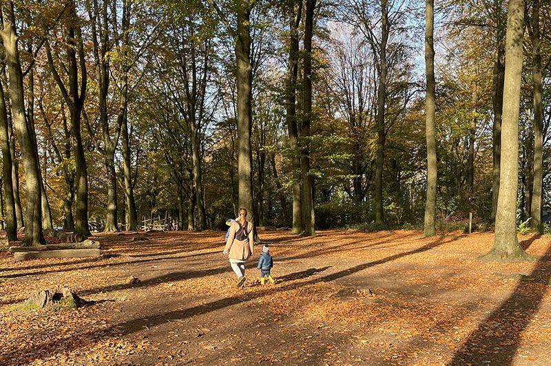 Wandelroutes Zulzeke