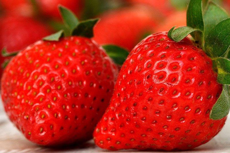 Aardbeienroute
