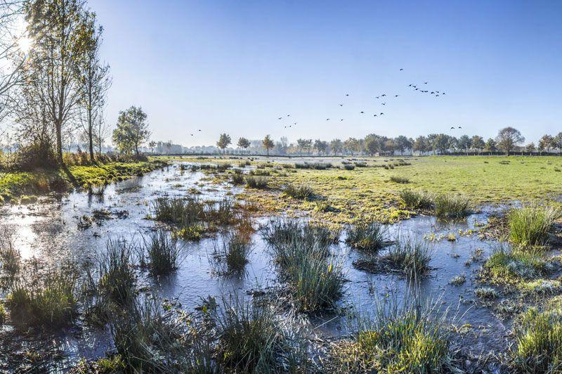 Wandelroutes Sint-Michiels