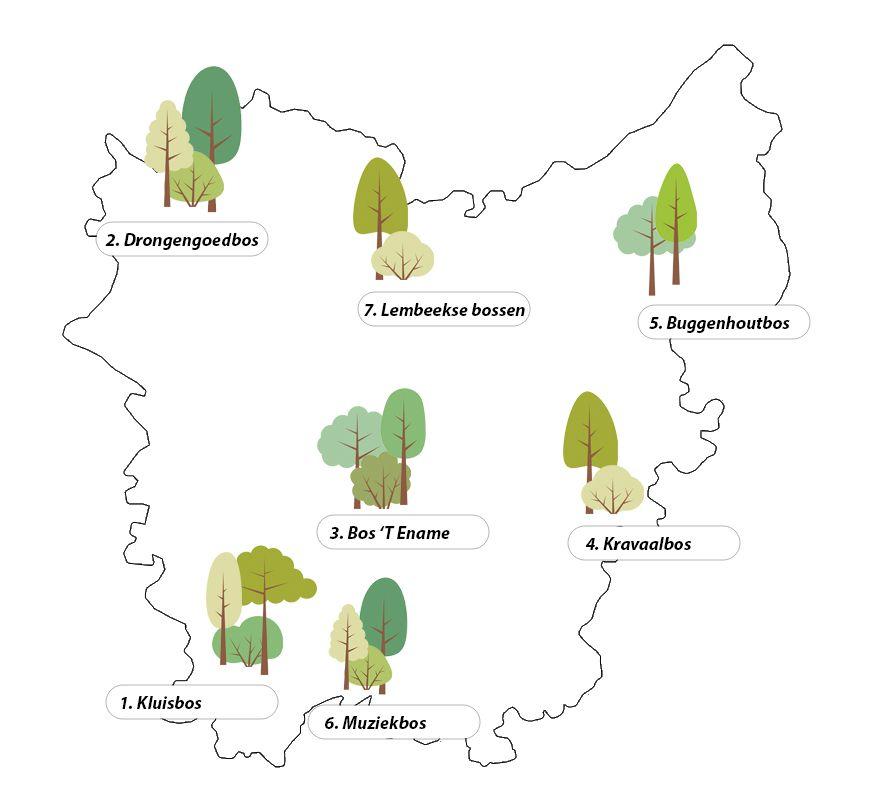 Boswandeling Oost-Vlaanderen