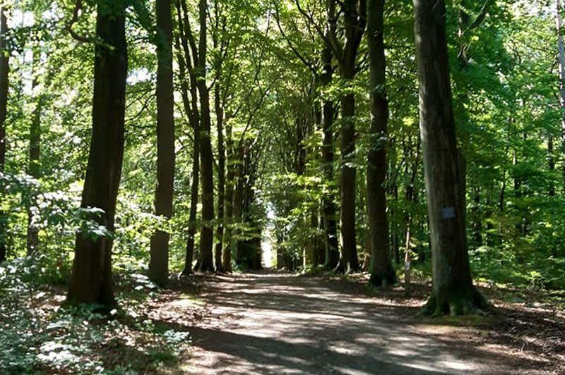 Wandeling Bierbeek