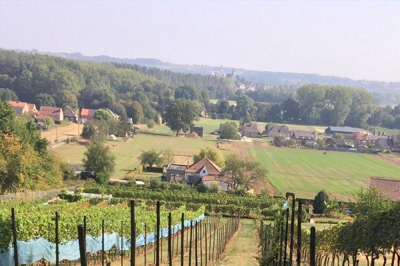 Fietsroutes in Sint-Pieters-Rode