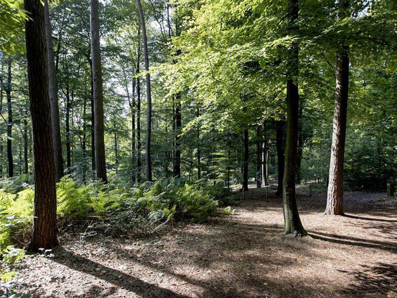 Getuigenheuvels wandelnetwerk