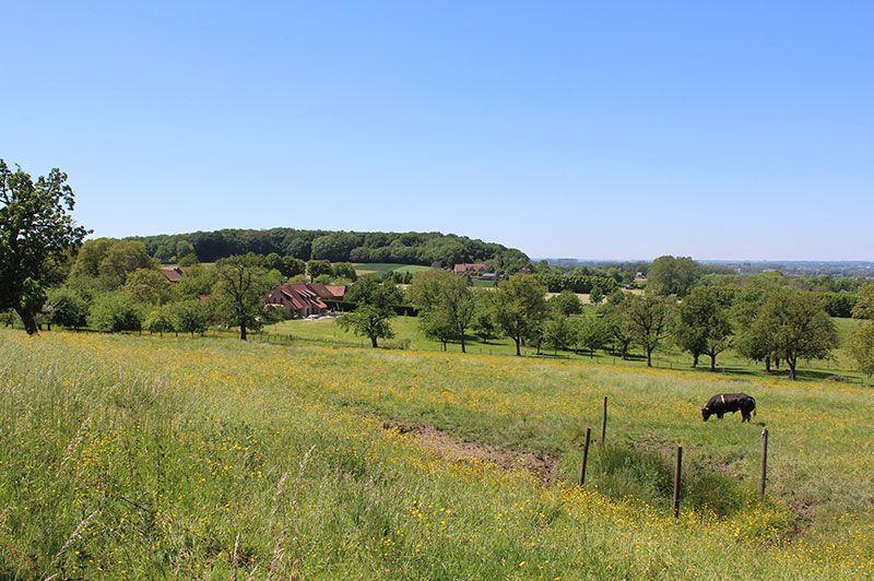 Wandelen in Gooik