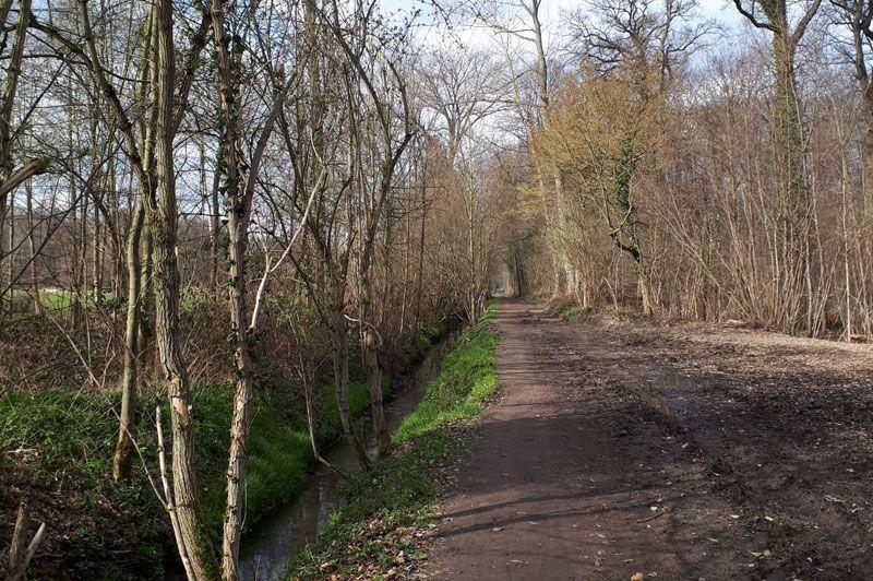 Wandelingen in Grimbergen