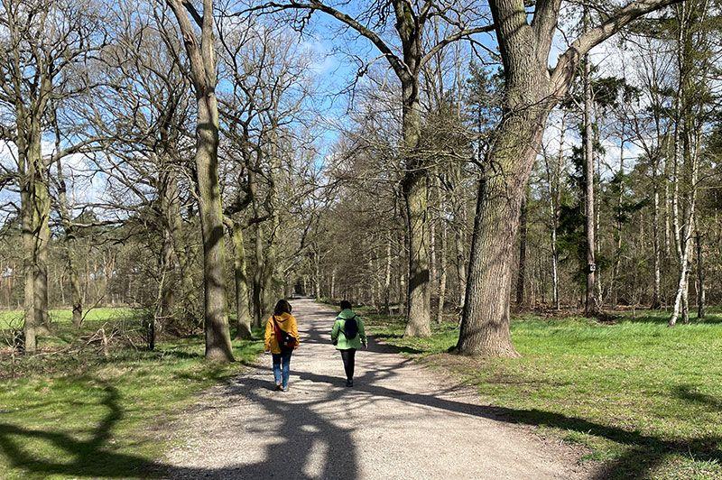Wandelen in Hamont-Achel