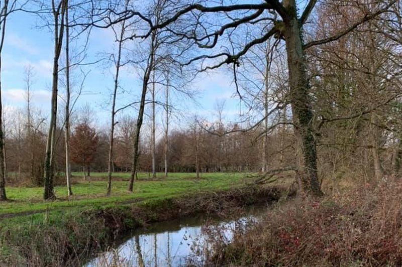 Wandelingen in Holsbeek