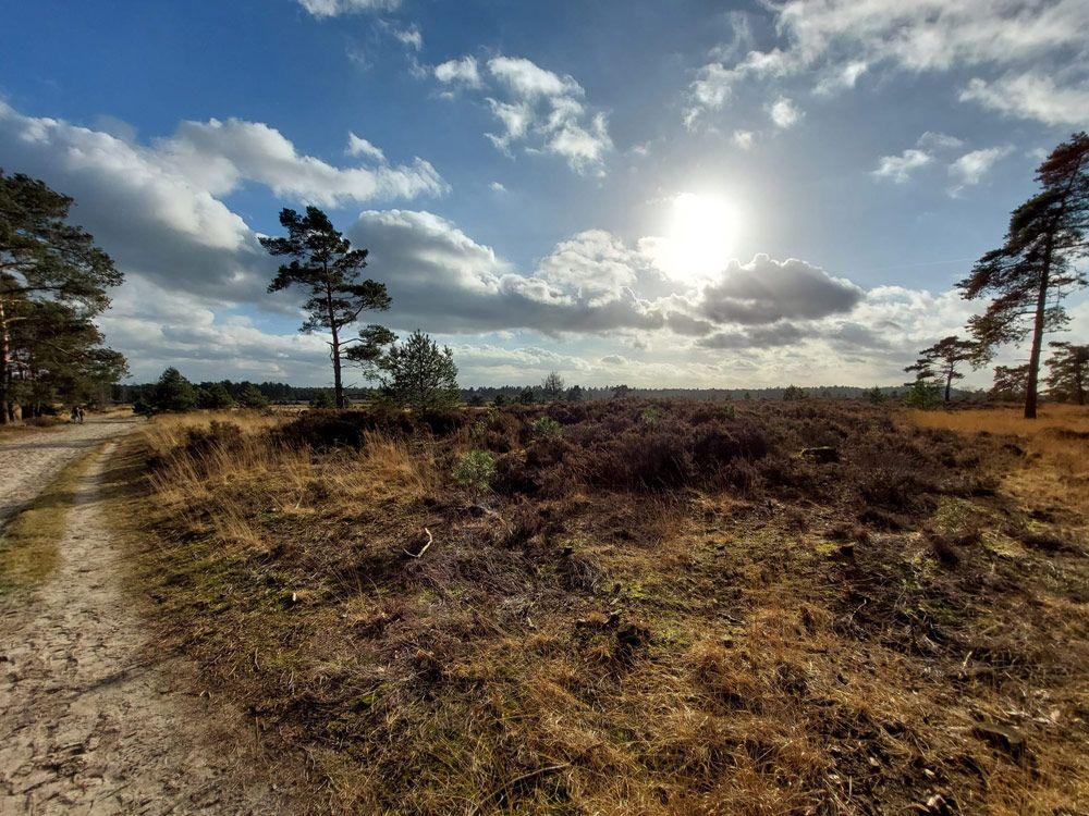 Kalmthoutse Heide