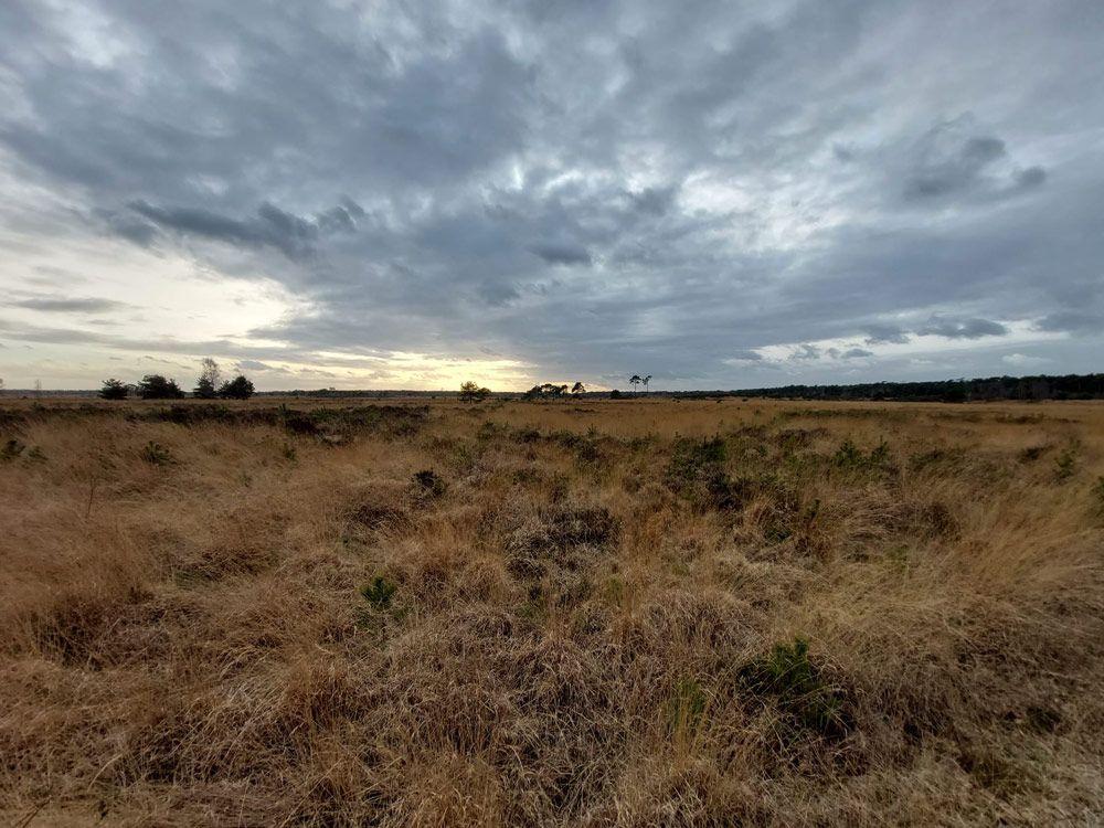 Einde Kalmthoutse Heide