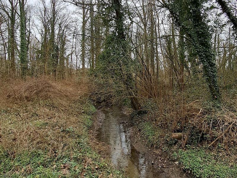 Kampenhout