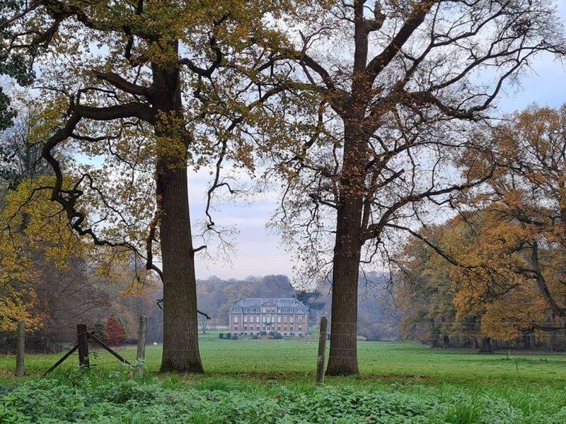 Kasteel Ten Bieze