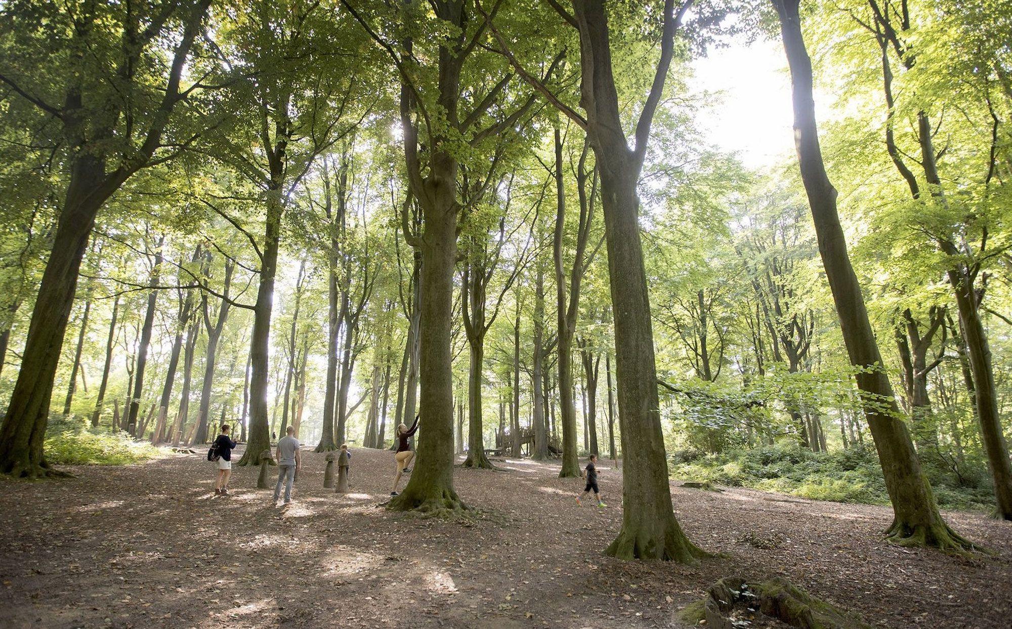 Kluisbergen