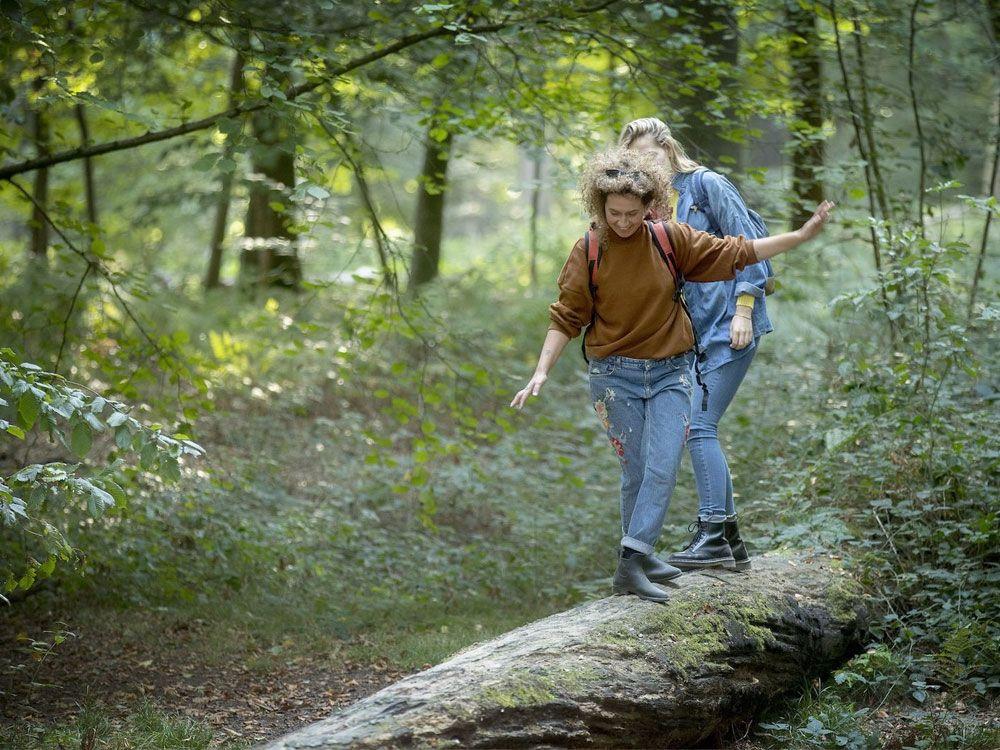 Konijnenberg