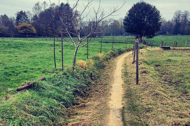 Wandelingen in Kortenaken