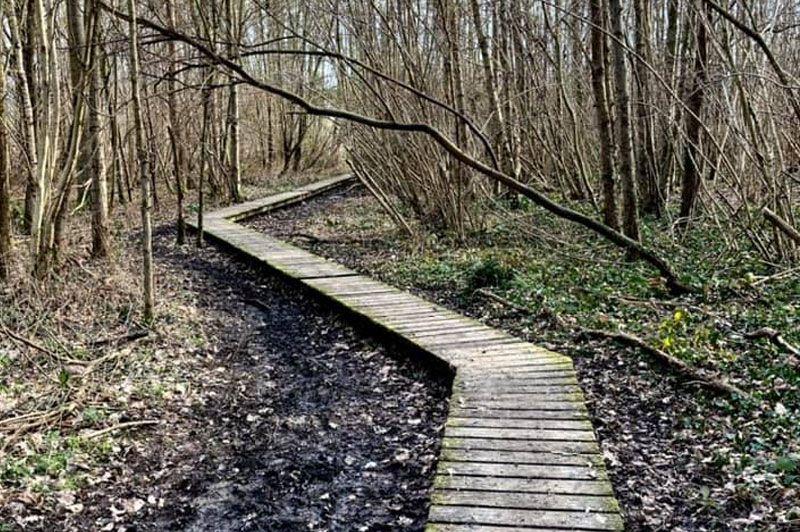 Kortenberg wandelingen