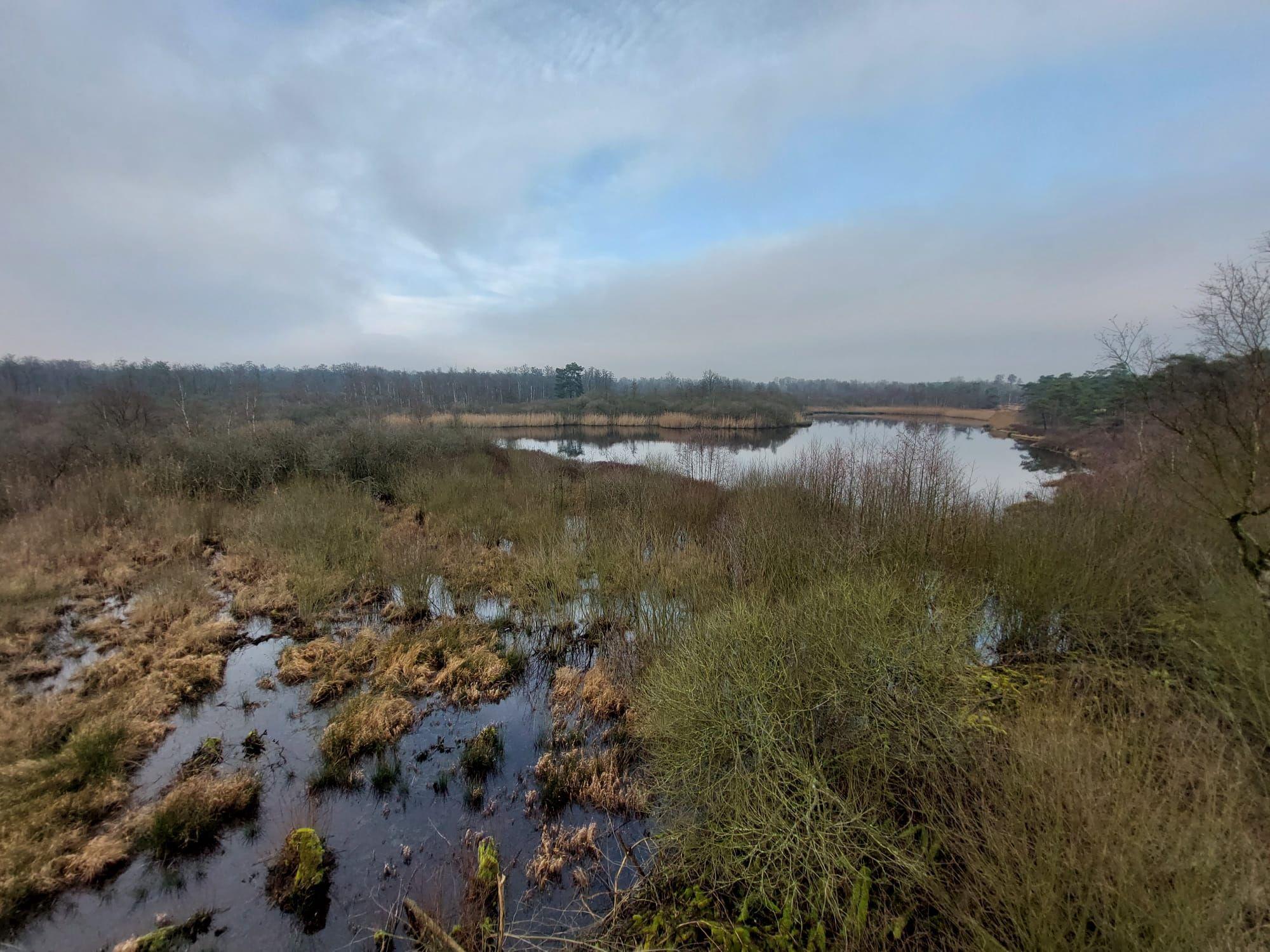 Landschapspark De Liereman