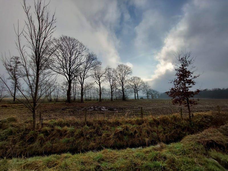 Natuur in de LIereman