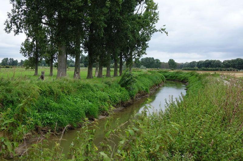 Wandelen in Linter