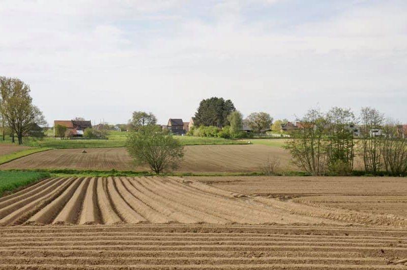 Wandelen in Lubbeek