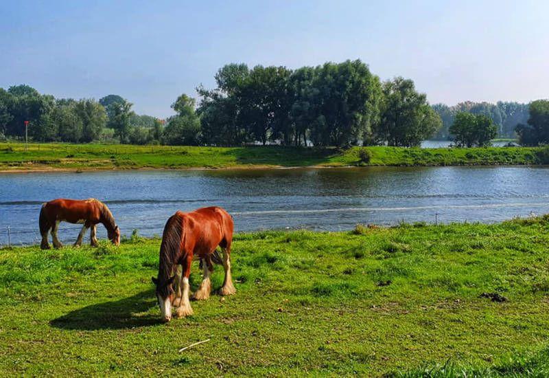 Maaseik