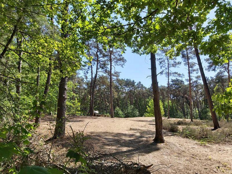 Wandelen in Malle