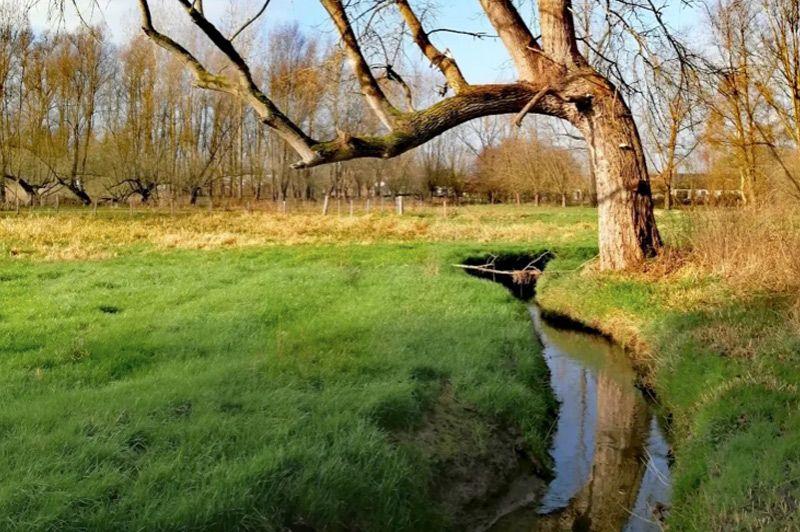 Wandelen in Meise