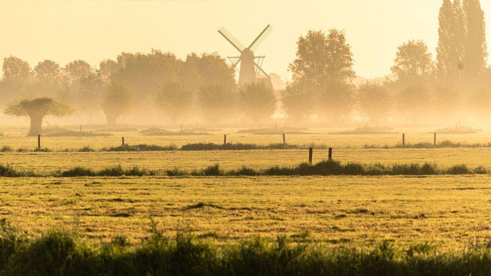 Van Vlaenderensmolen Oude Kalevallei