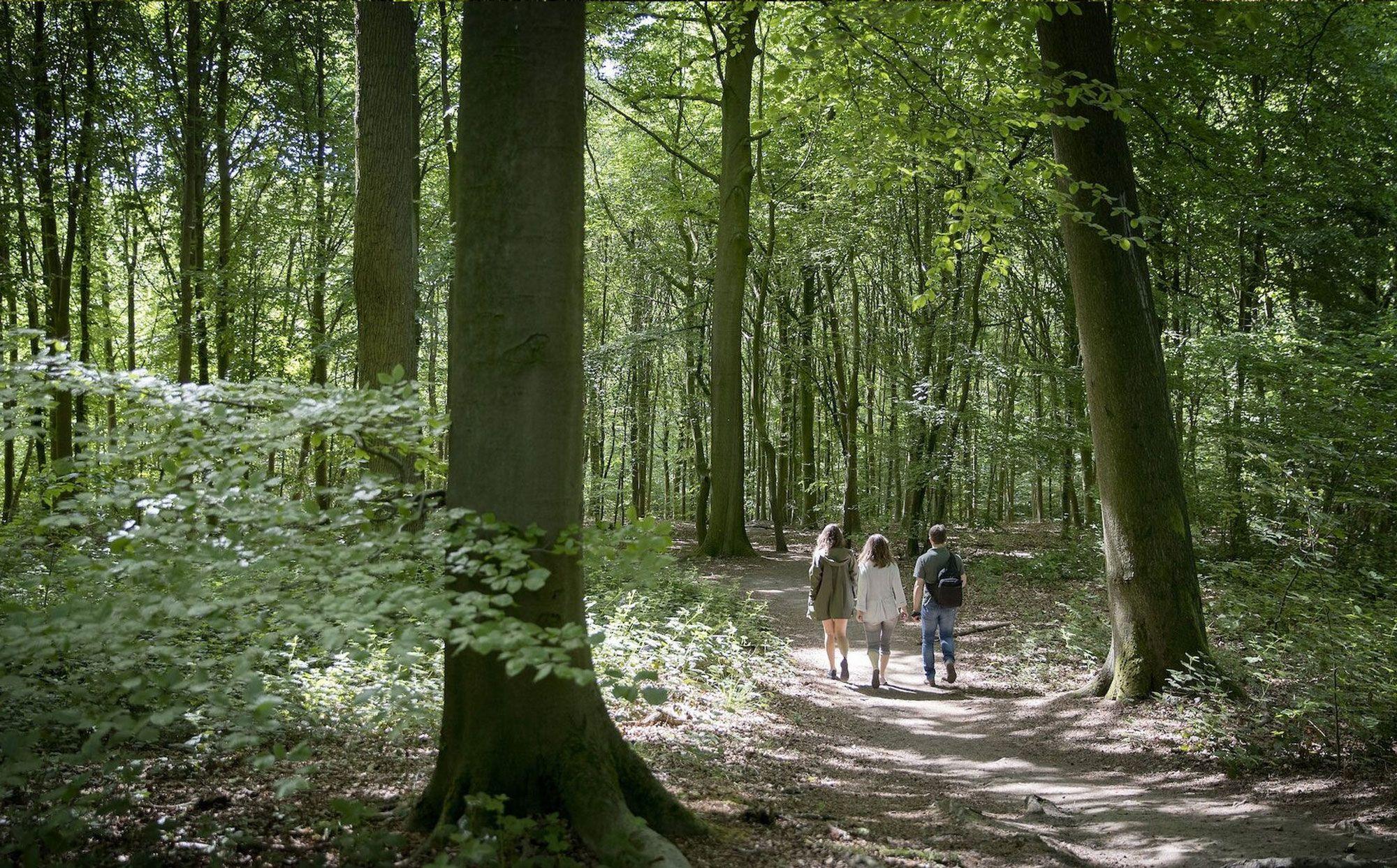 Wandelingen Oudenaarde