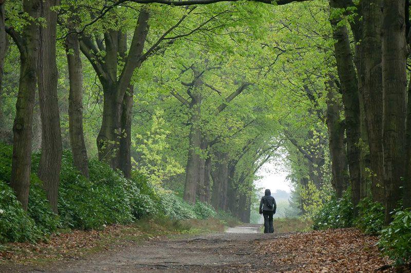 Wandelroutes Overijssel