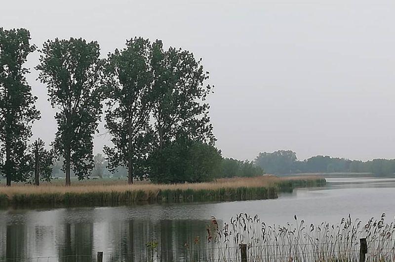 Rond de Kieldrechtse Kreek wandelroute