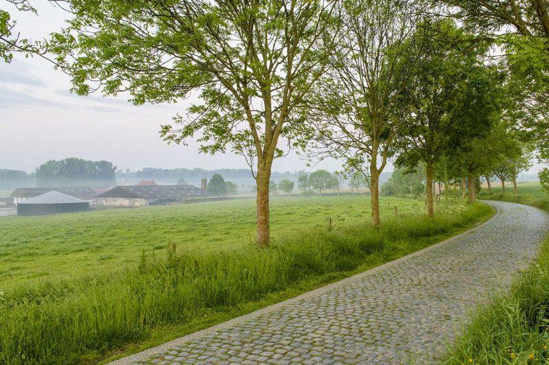 Ronde van Vlaanderen fietsroute - gele lus