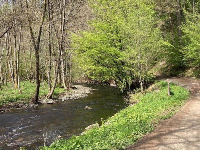 Wandelen in Saint-Hubert