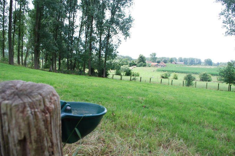 Wandelingen Herzele