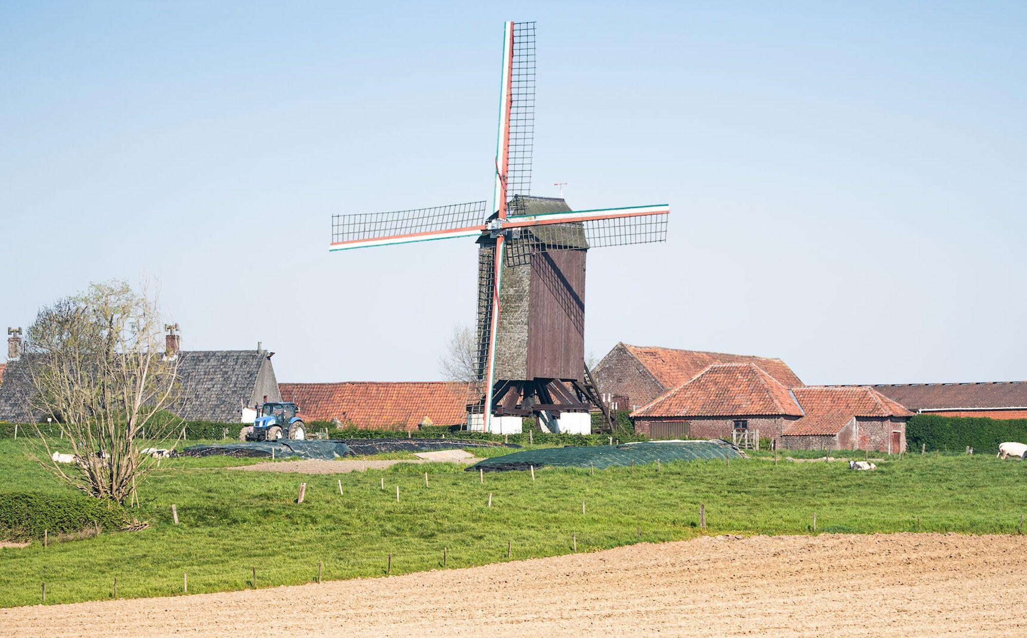 Wandelroute Tielt-Winge
