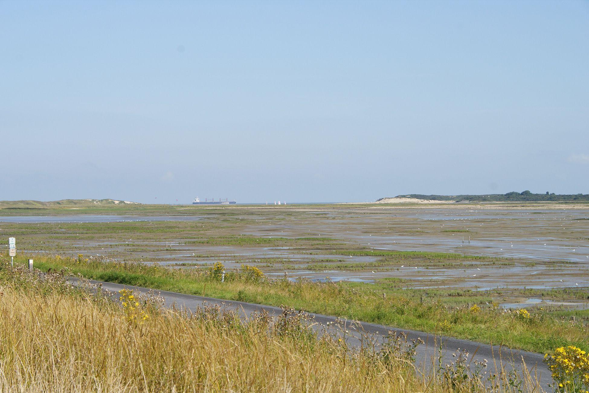 Uitzicht Zwin