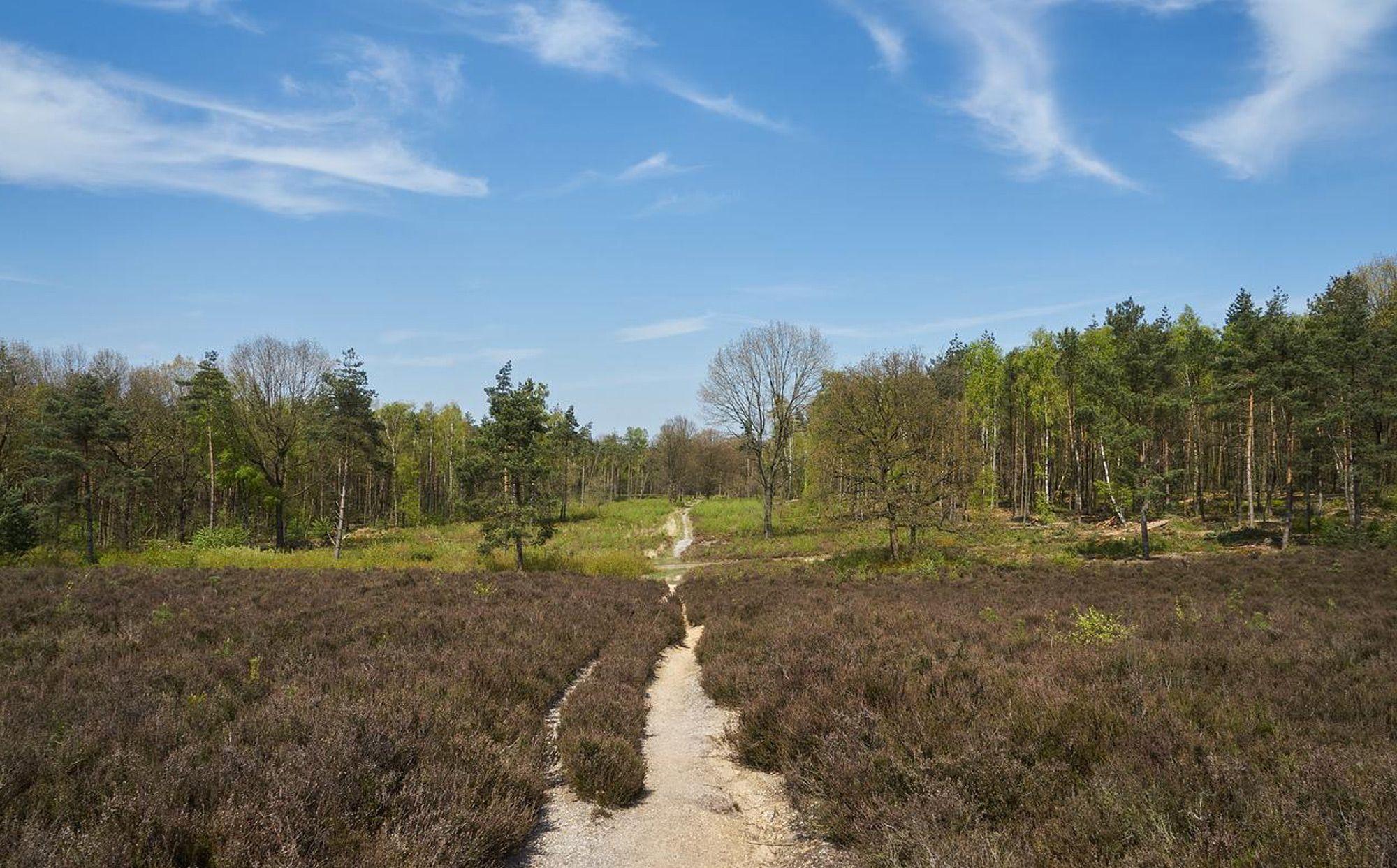 Wandelroutes Utrecht