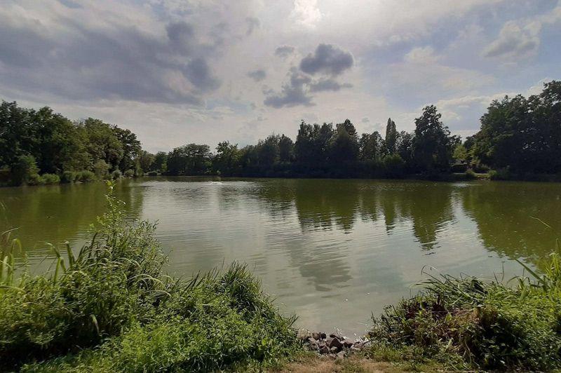Van Dendermonde naar Aalst fietsroute