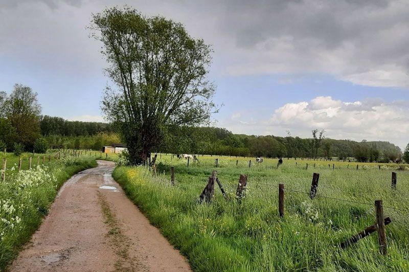 Wandelroutes Lede