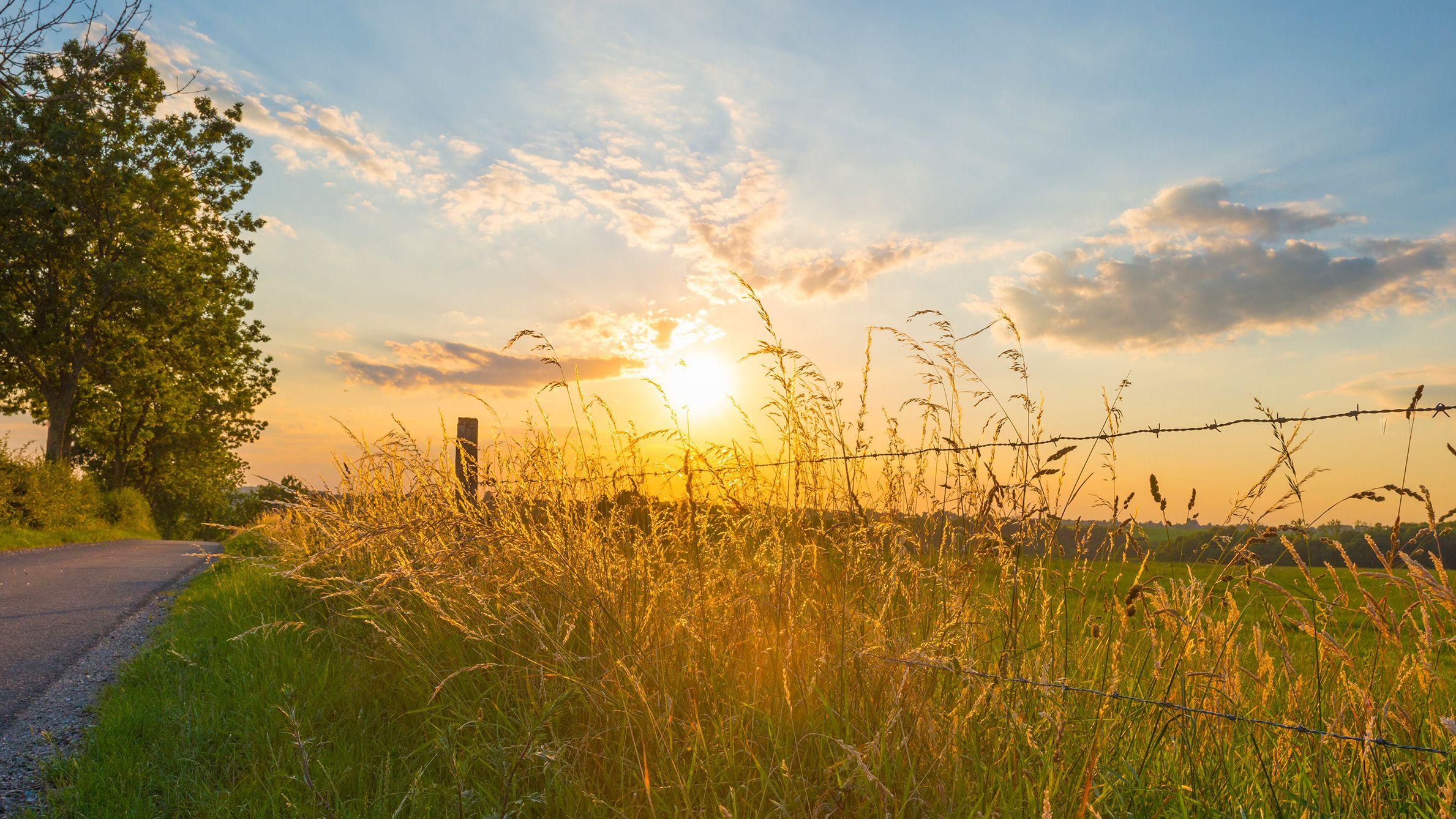 Wandelen zon