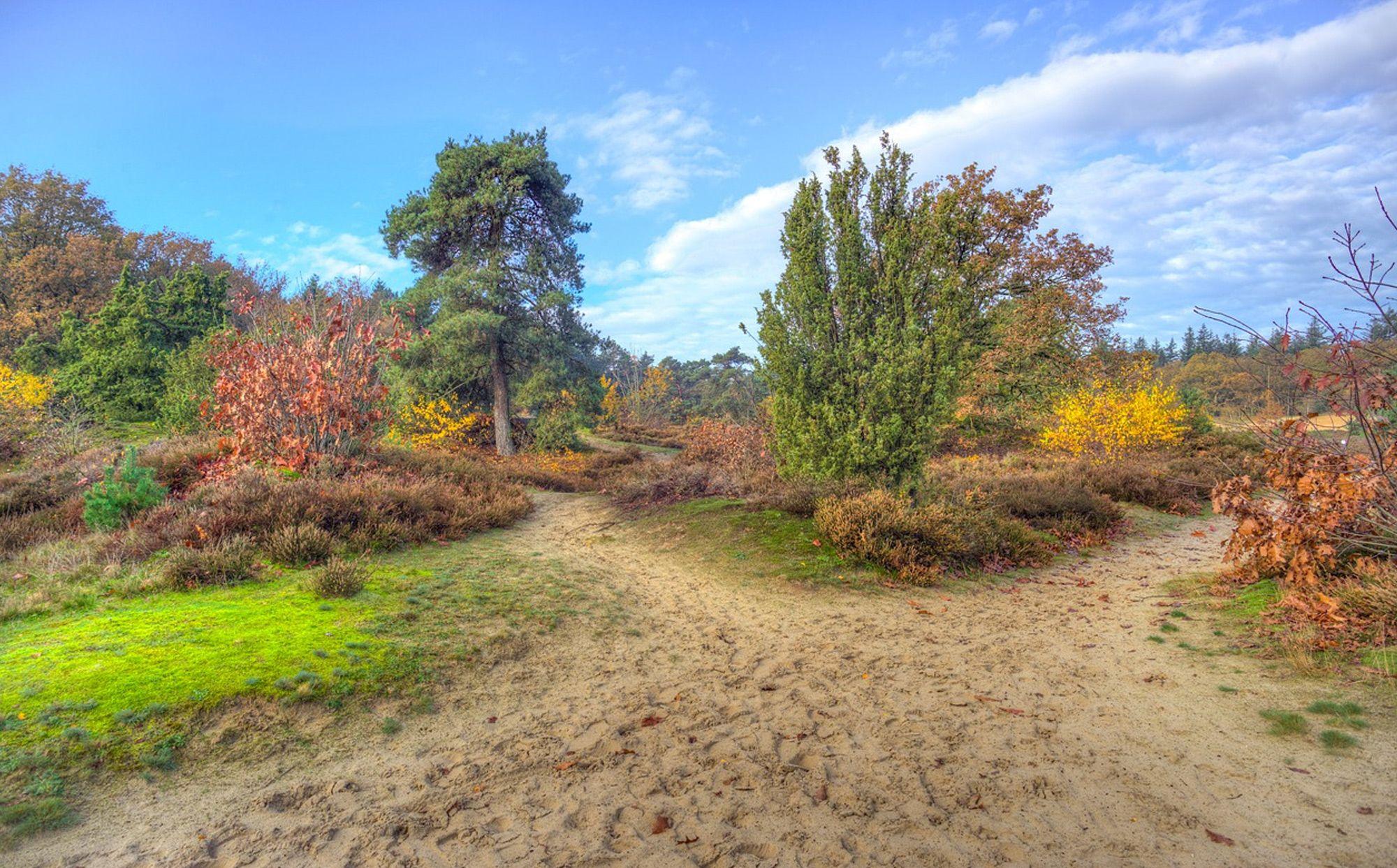 Wandelen Drenthe