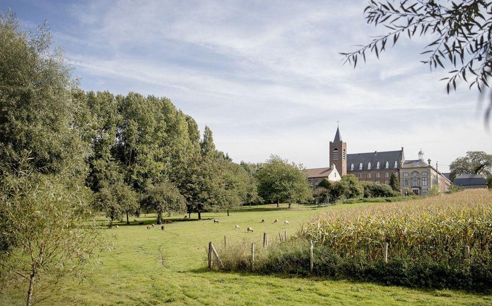 Wandelingen in Affligem