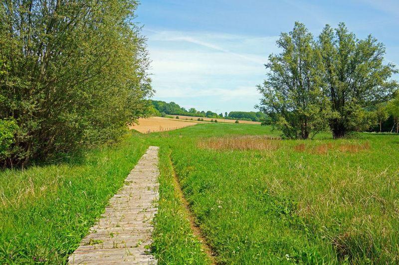 Wandelen Zottegem