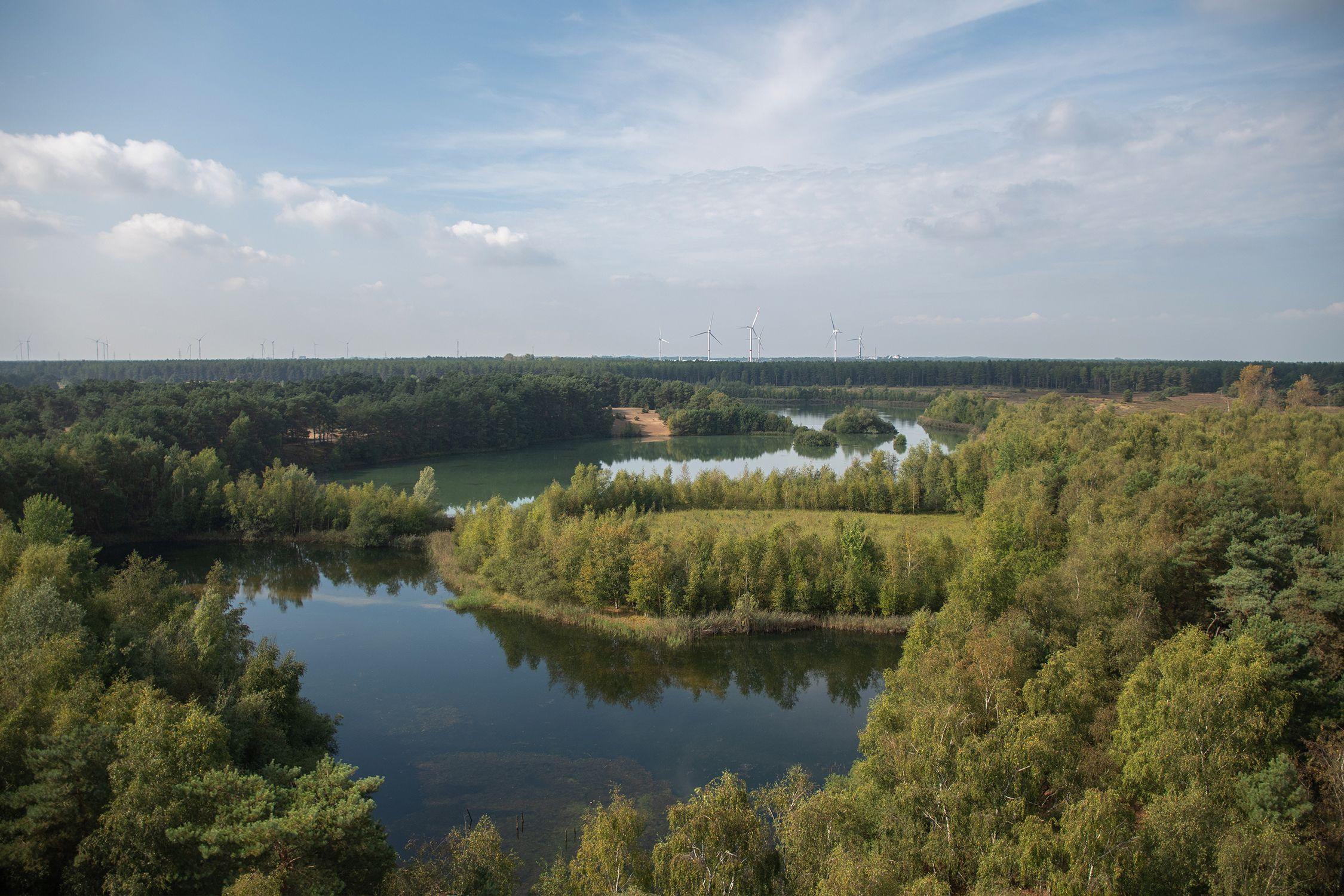 Wandelen in Limburg
