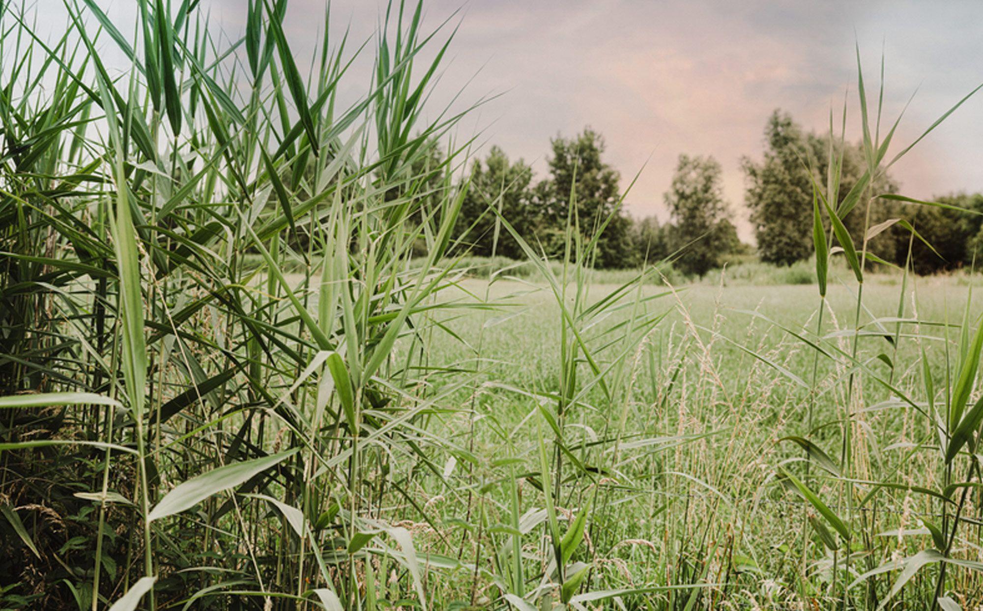 Wandelen in Moorslede