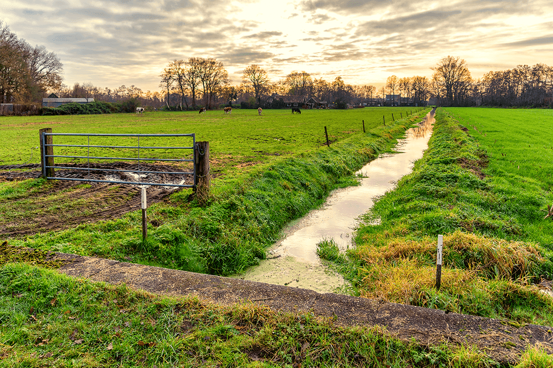 Wandelen in Nederland