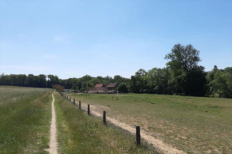 Wandelroutes Beersel